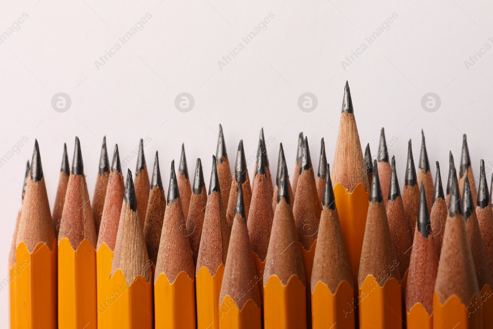 Photo of Many sharp graphite pencils isolated on white