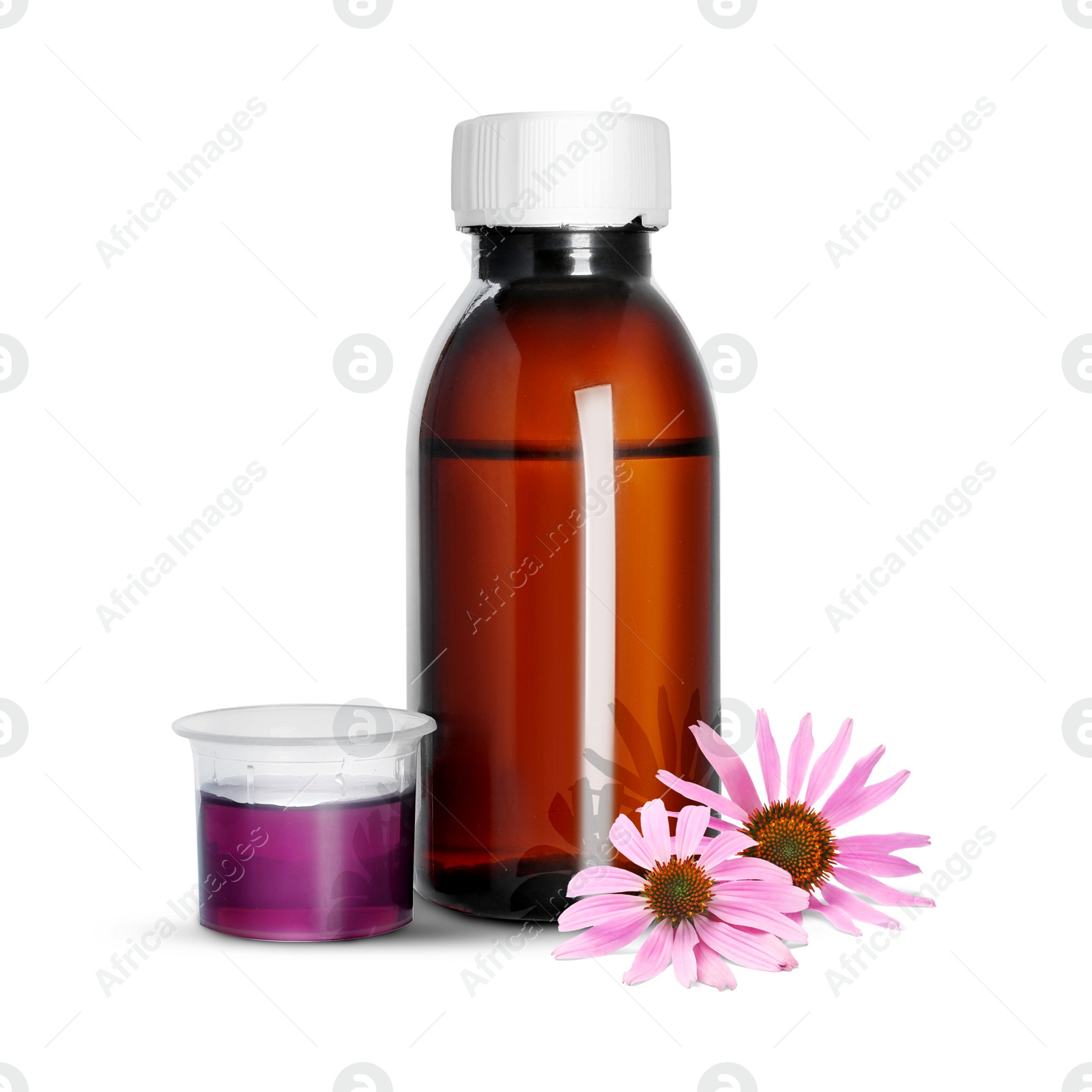 Image of Bottle of echinacea syrup and flowers on white background