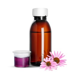 Image of Bottle of echinacea syrup and flowers on white background