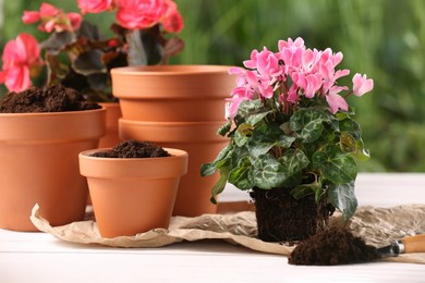 Photo of Beautiful flower and pots with soil on white wooden table outdoors
