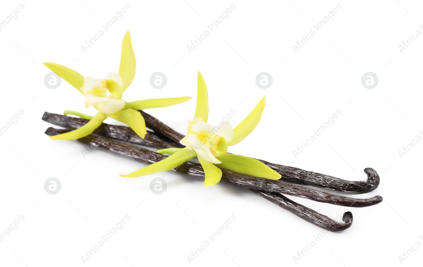 Photo of Vanilla pods and beautiful flowers isolated on white