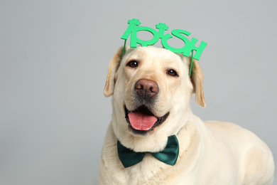 Photo of Labrador retriever with Irish party glasses and bow tie on light grey background. St. Patrick's day