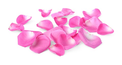 Photo of Many pink rose petals on white background