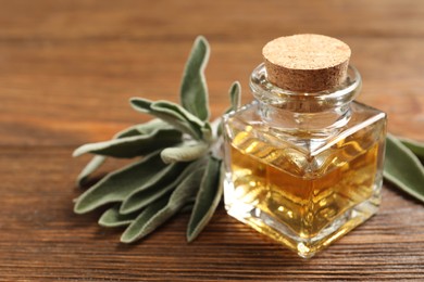 Bottle of essential sage oil and plant twig on wooden table, closeup. Space for text