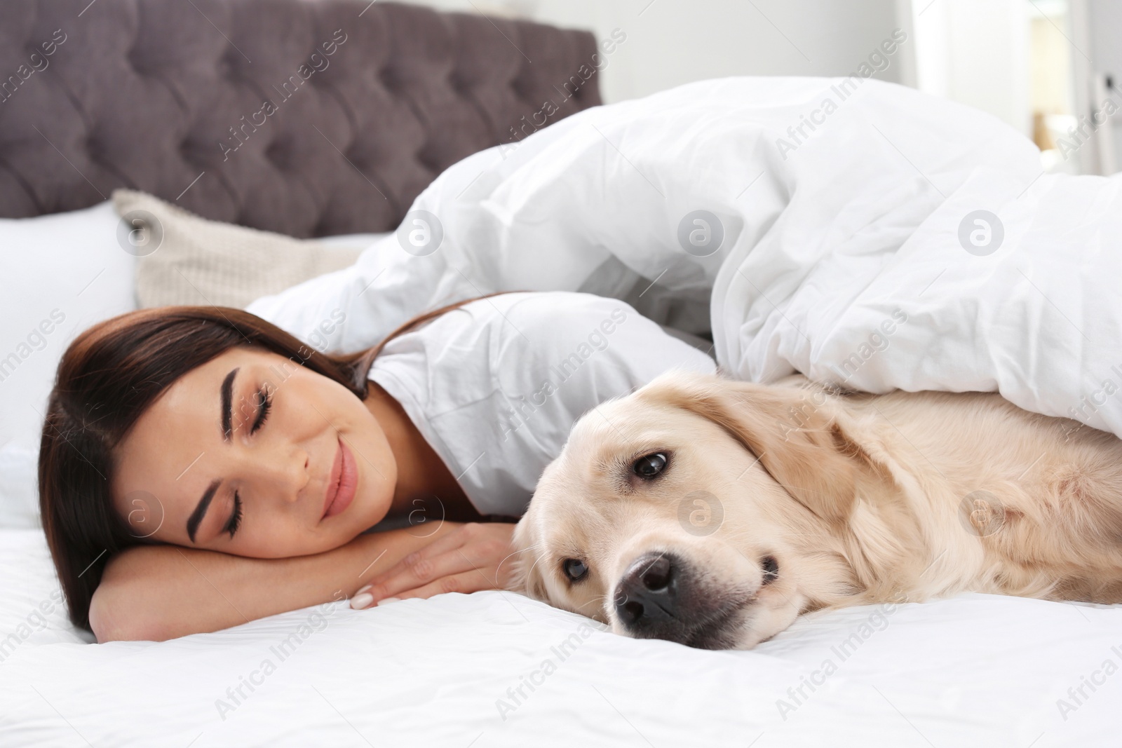 Photo of Young woman and her Golden Retriever dog on bed at home