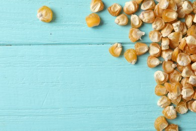 Photo of Raw dry corn seeds and space for text on light blue wooden background, flat lay. Vegetable planting