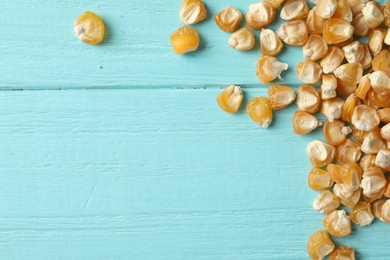 Raw dry corn seeds and space for text on light blue wooden background, flat lay. Vegetable planting