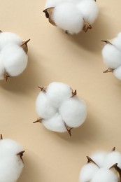 Fluffy cotton flowers on beige background, flat lay