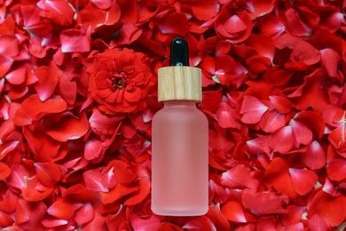 Photo of Bottle of rose essential oil on red flower petals, top view