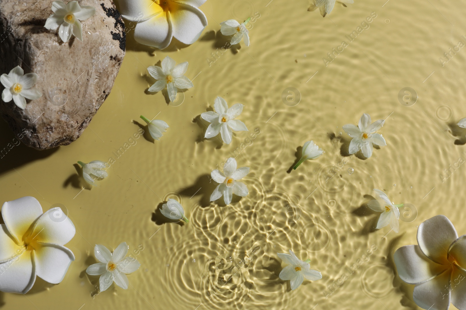 Photo of Beautiful flowers and stone in water on pale yellow background, top view