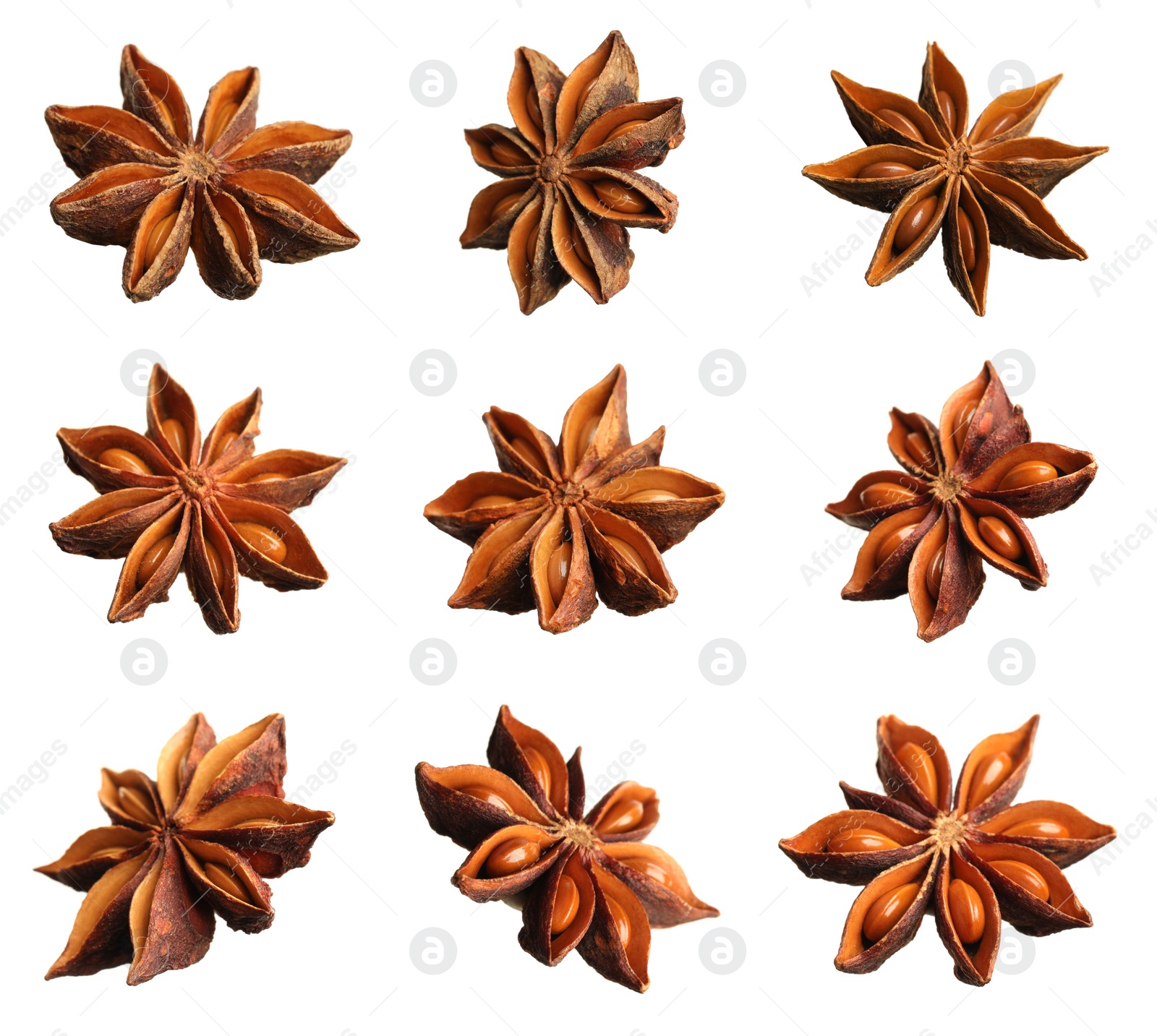 Image of Set with dry anise anise stars on white background