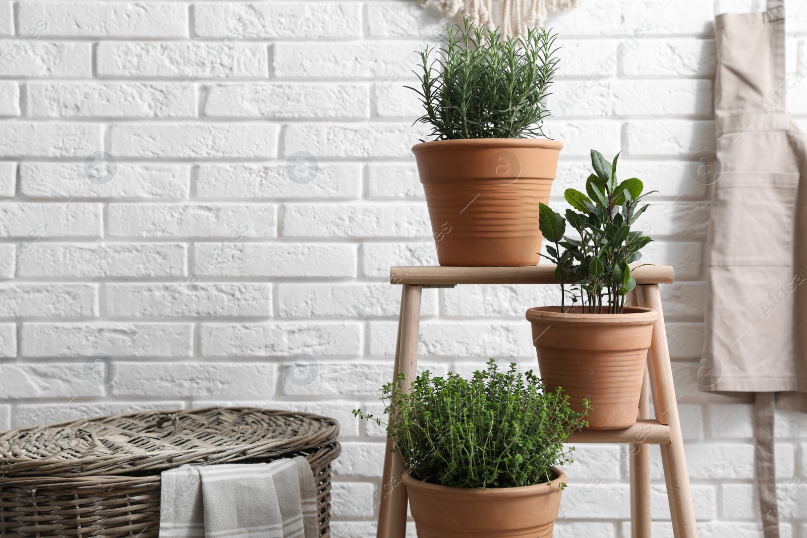 Photo of Different aromatic potted herbs near white brick wall indoors