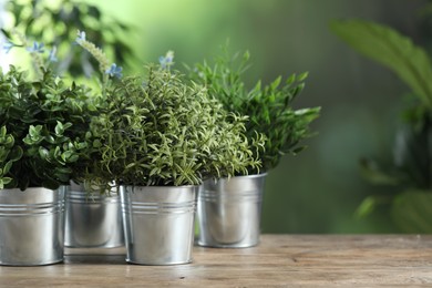 Photo of Different aromatic potted herbs on wooden table outdoors, space for text