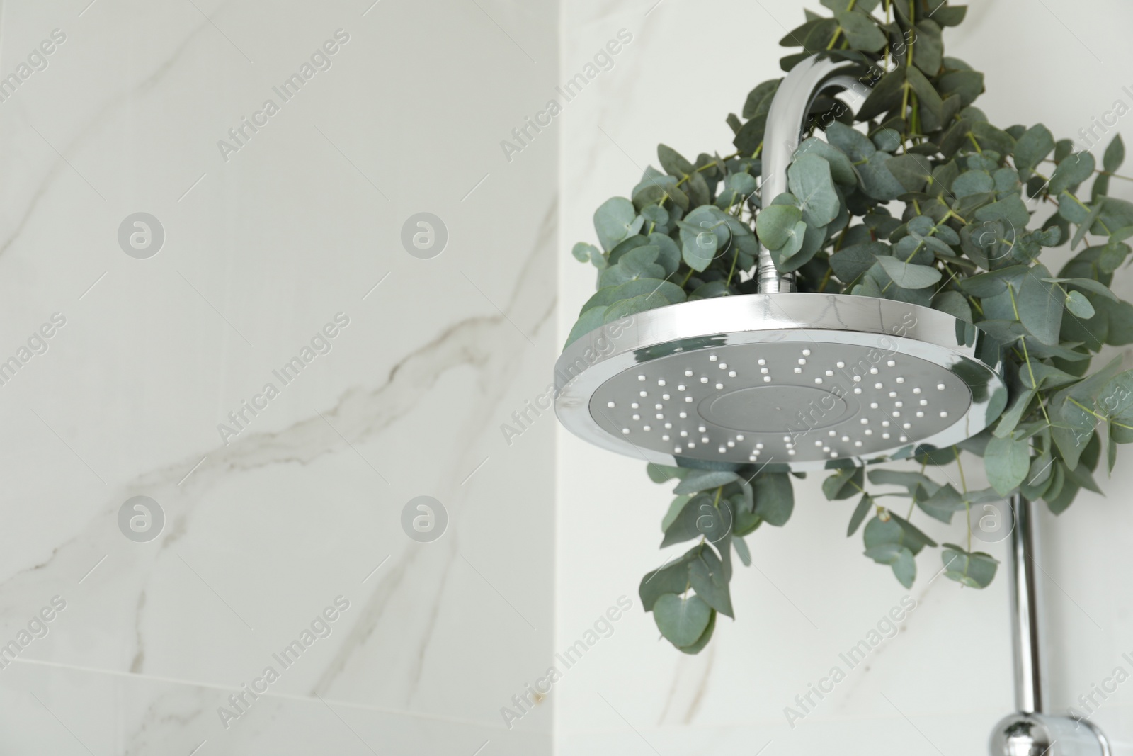 Photo of Branches with green eucalyptus leaves in shower, space for text