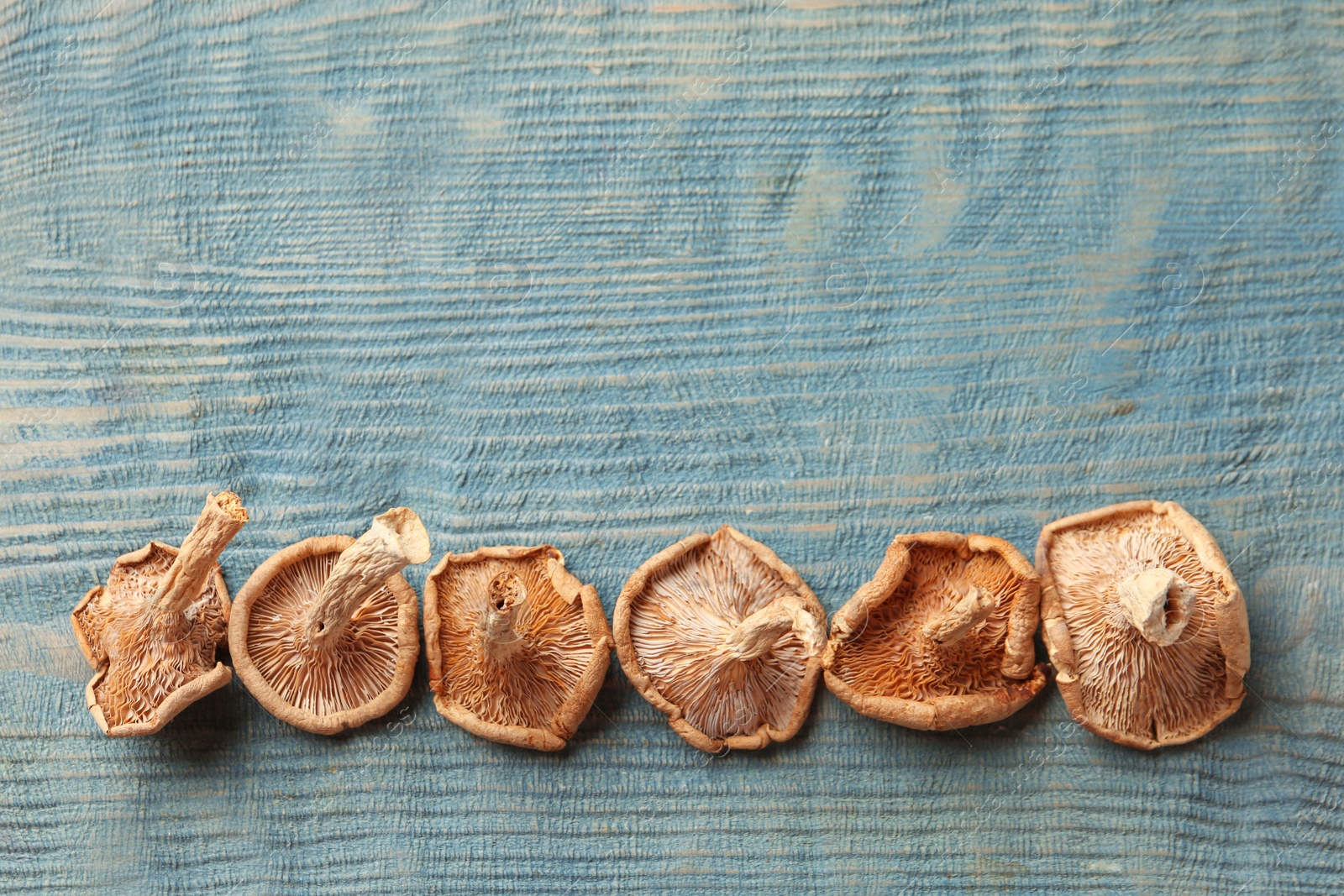 Photo of Flat lay composition of dried mushrooms on color wooden background. Space for text