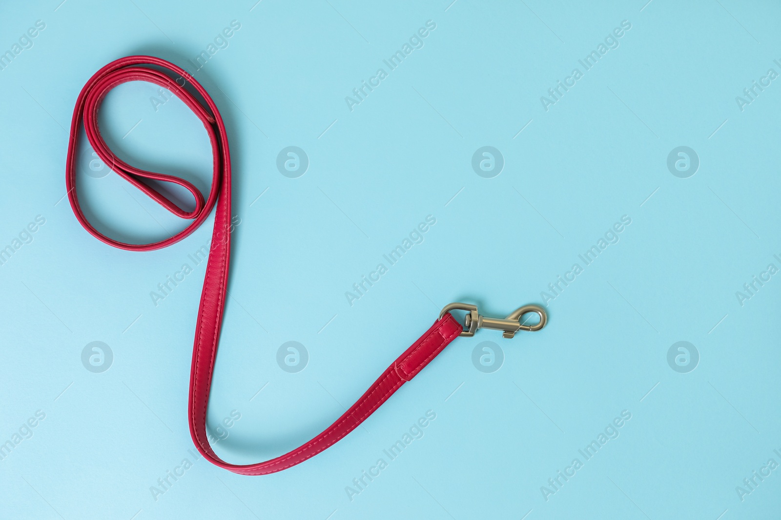 Photo of Red leather dog leash on light blue background, top view. Space for text