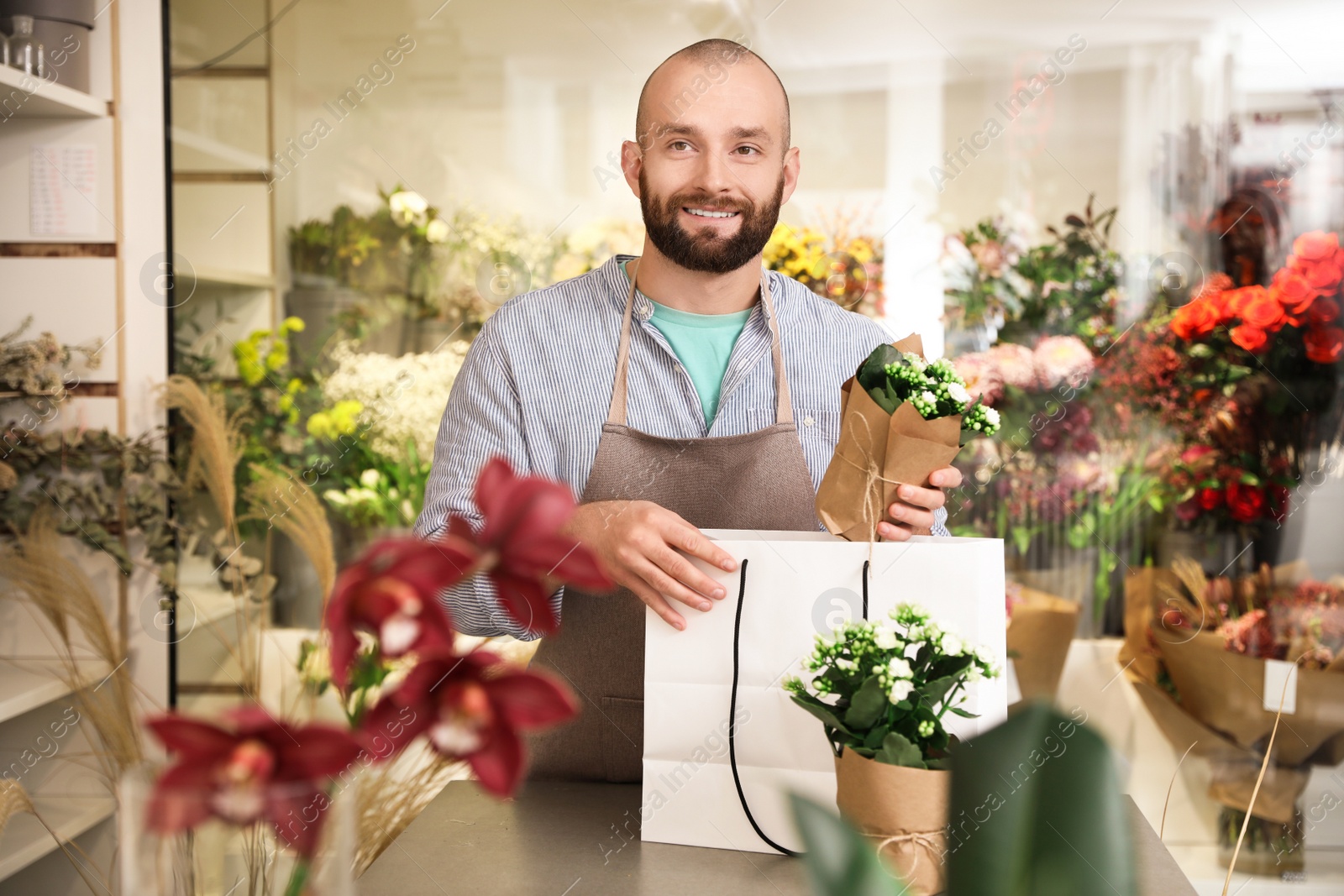 Photo of Florist putting beautiful potted plant into paper bag in shop