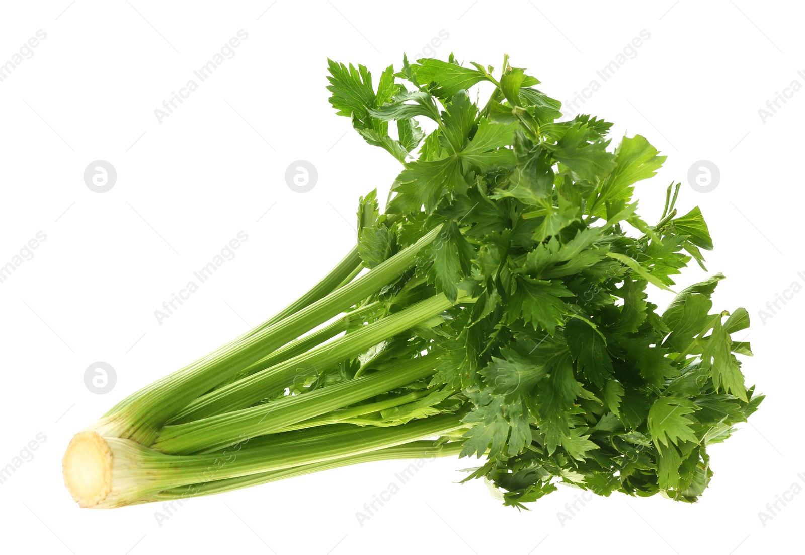 Photo of Fresh green celery bunch isolated on white