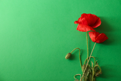 Photo of Beautiful red poppy flowers on green background, flat lay. Space for text