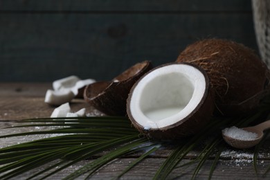 Coconut milk, flakes, nuts and palm leaf on wooden table, space for text