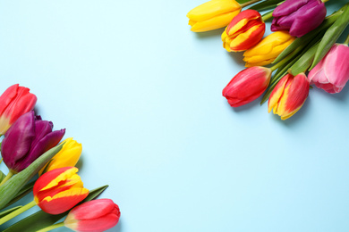 Photo of Beautiful spring tulips on light blue background, flat lay. Space for text