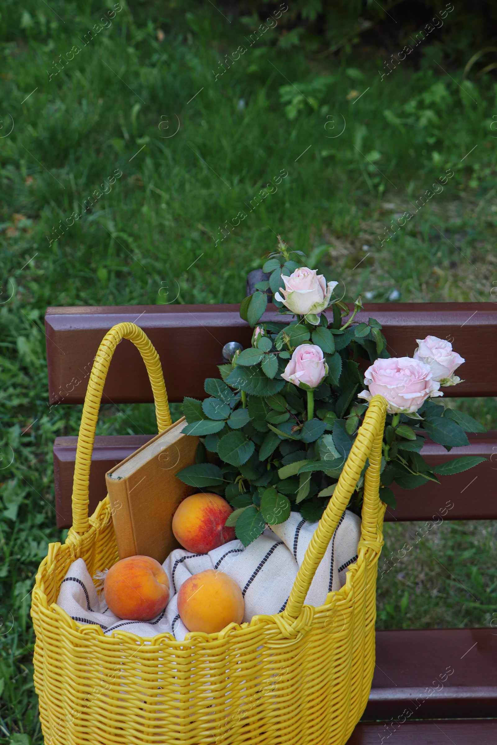 Photo of Yellow wicker bag with roses, book and peaches on bench outdoors