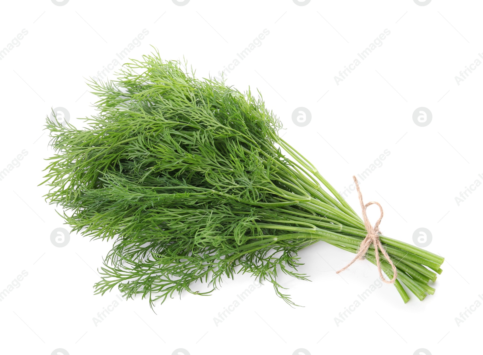 Photo of Bunch of fresh green dill isolated on white, top view