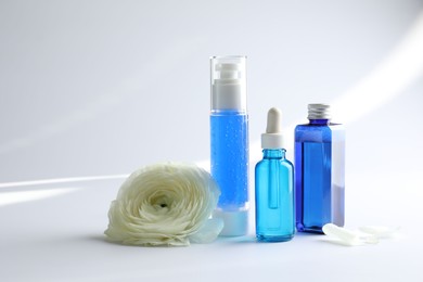 Photo of Set of luxury cosmetic products and gentle flower on white background