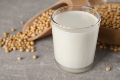 Glass with fresh soy milk and grains on grey table, closeup