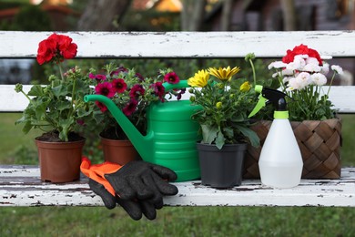 Photo of Beautiful blooming flowers, watering can, gloves and spray bottle on white wooden bench outdoors