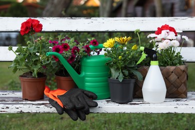 Beautiful blooming flowers, watering can, gloves and spray bottle on white wooden bench outdoors