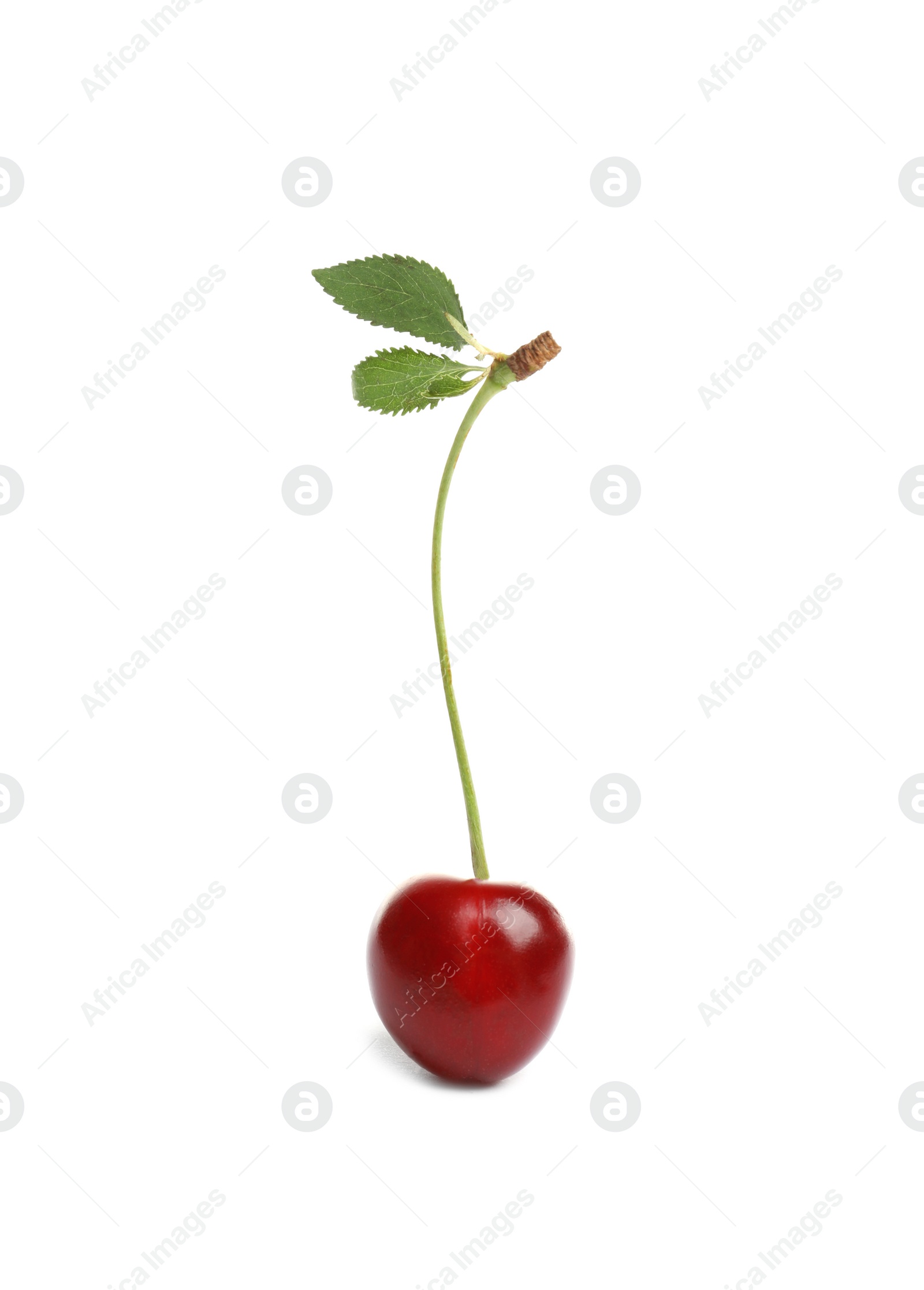 Photo of Delicious ripe sweet cherry on white background