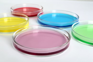 Photo of Petri dishes with colorful liquids on white background, closeup