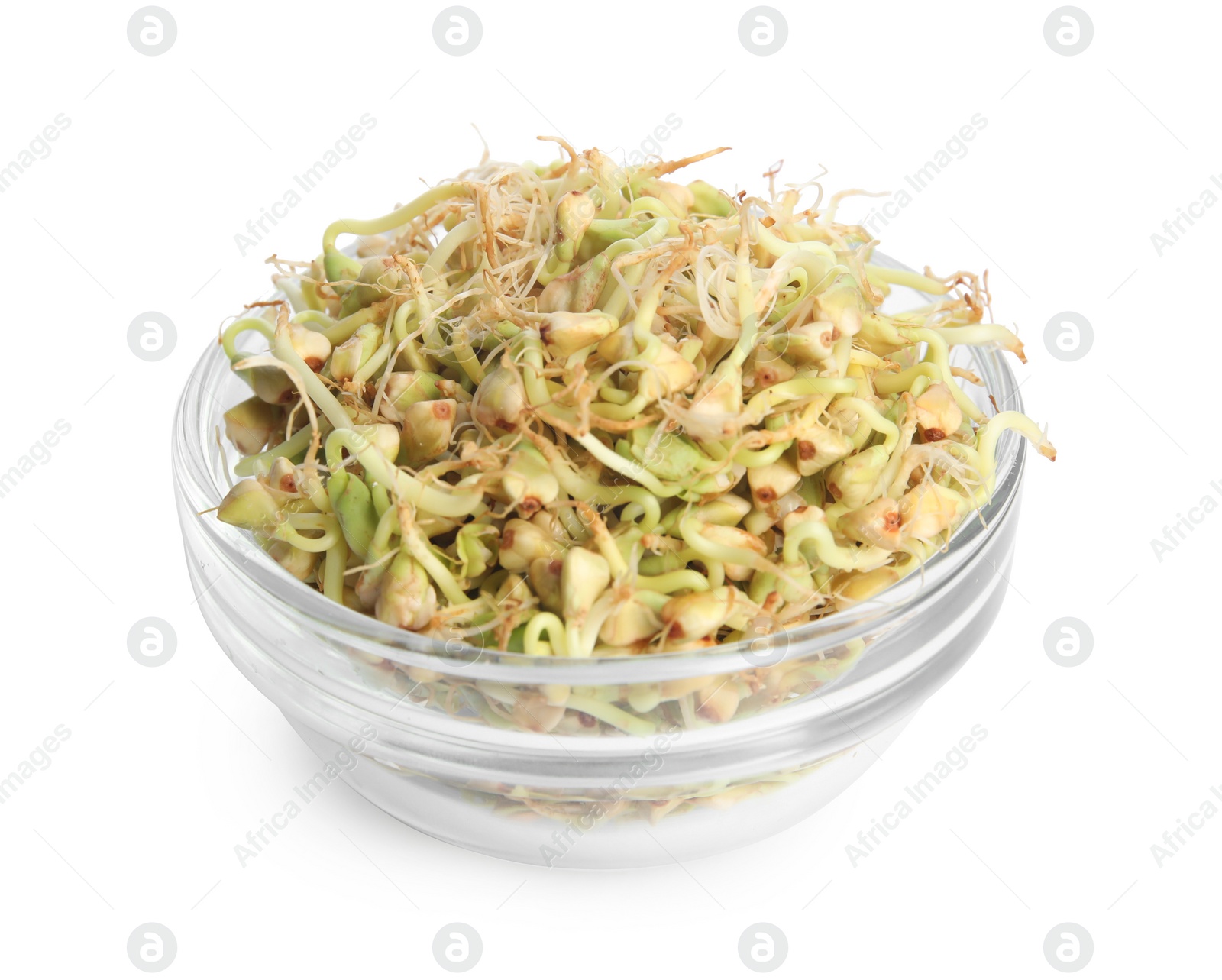 Photo of Glass bowl of sprouted green buckwheat isolated on white