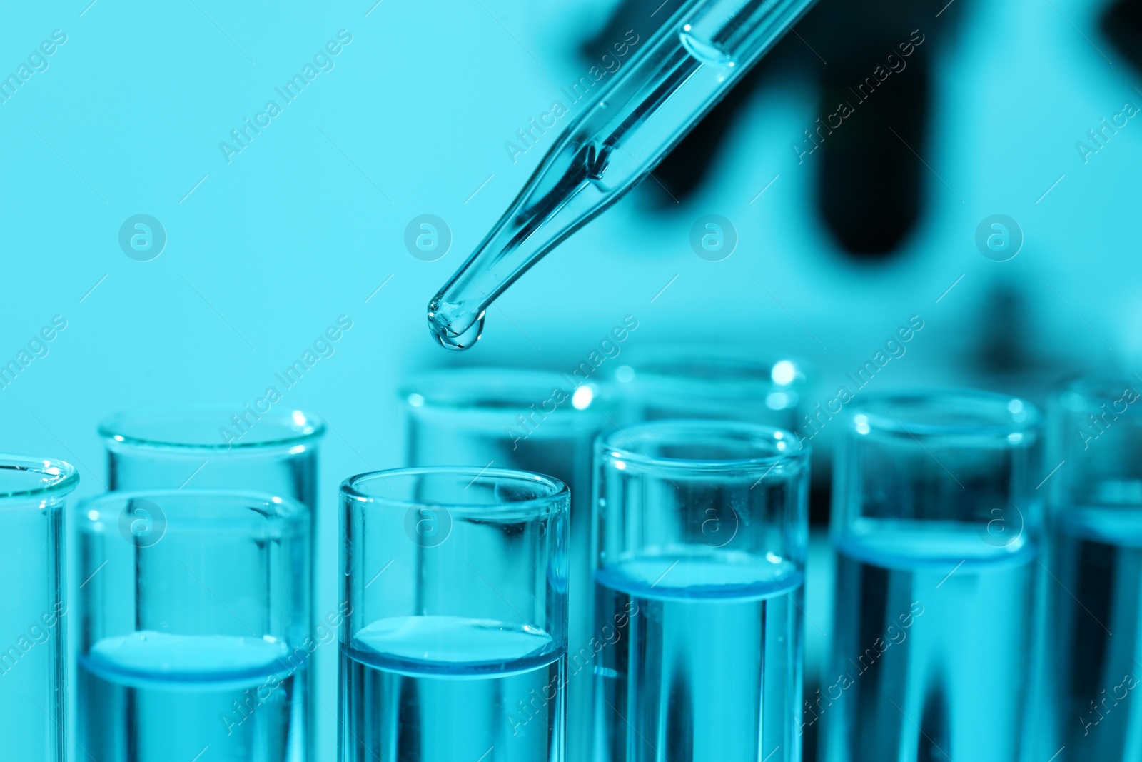 Photo of Dripping liquid from pipette into test tube on blurred background, closeup. Laboratory analysis