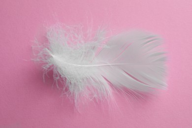 Fluffy white bird feather on pink background, top view