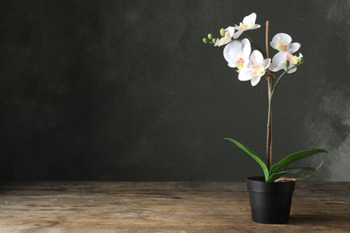 Photo of Artificial orchid plant in flower pot on wooden table. Space for text