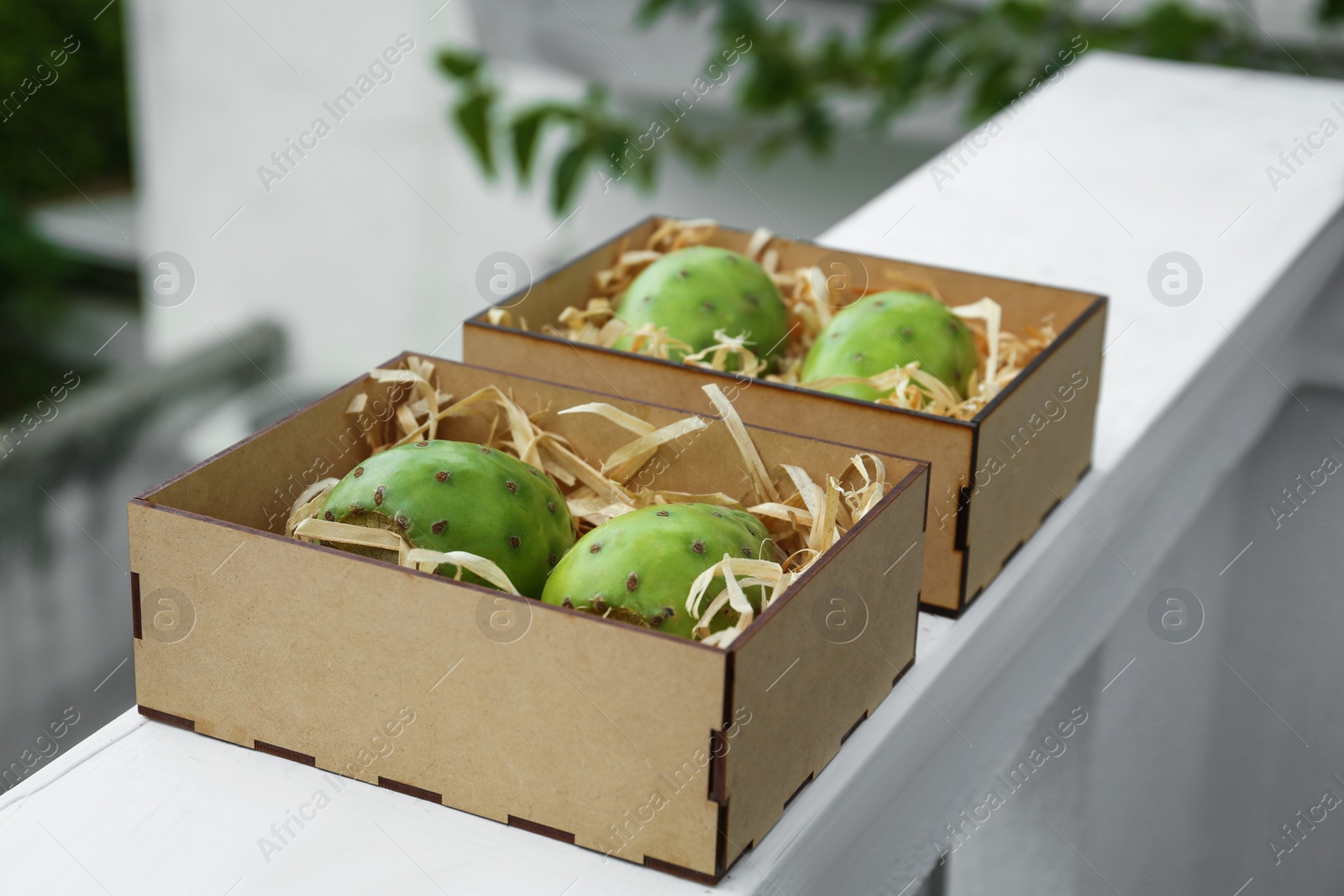 Photo of Delicious fresh ripe opuntia fruits in wooden box outdoors