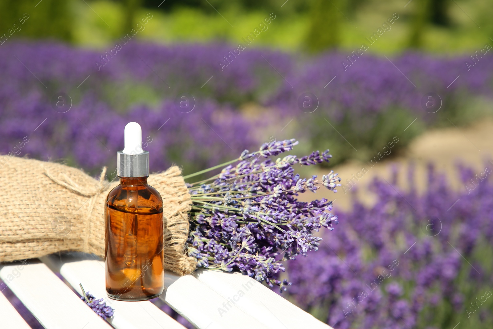 Photo of Bottle of essential oil and lavender flowers on white wooden surface outdoors, space for text