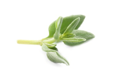 Photo of Aromatic thyme leaves on white background. Fresh herb