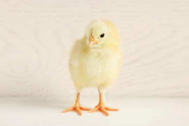 Photo of Cute chick on white wooden table, closeup. Baby animal