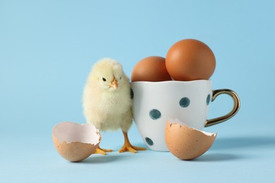 Photo of Cute chick, cup with eggs and pieces of shell on light blue background, closeup. Baby animal