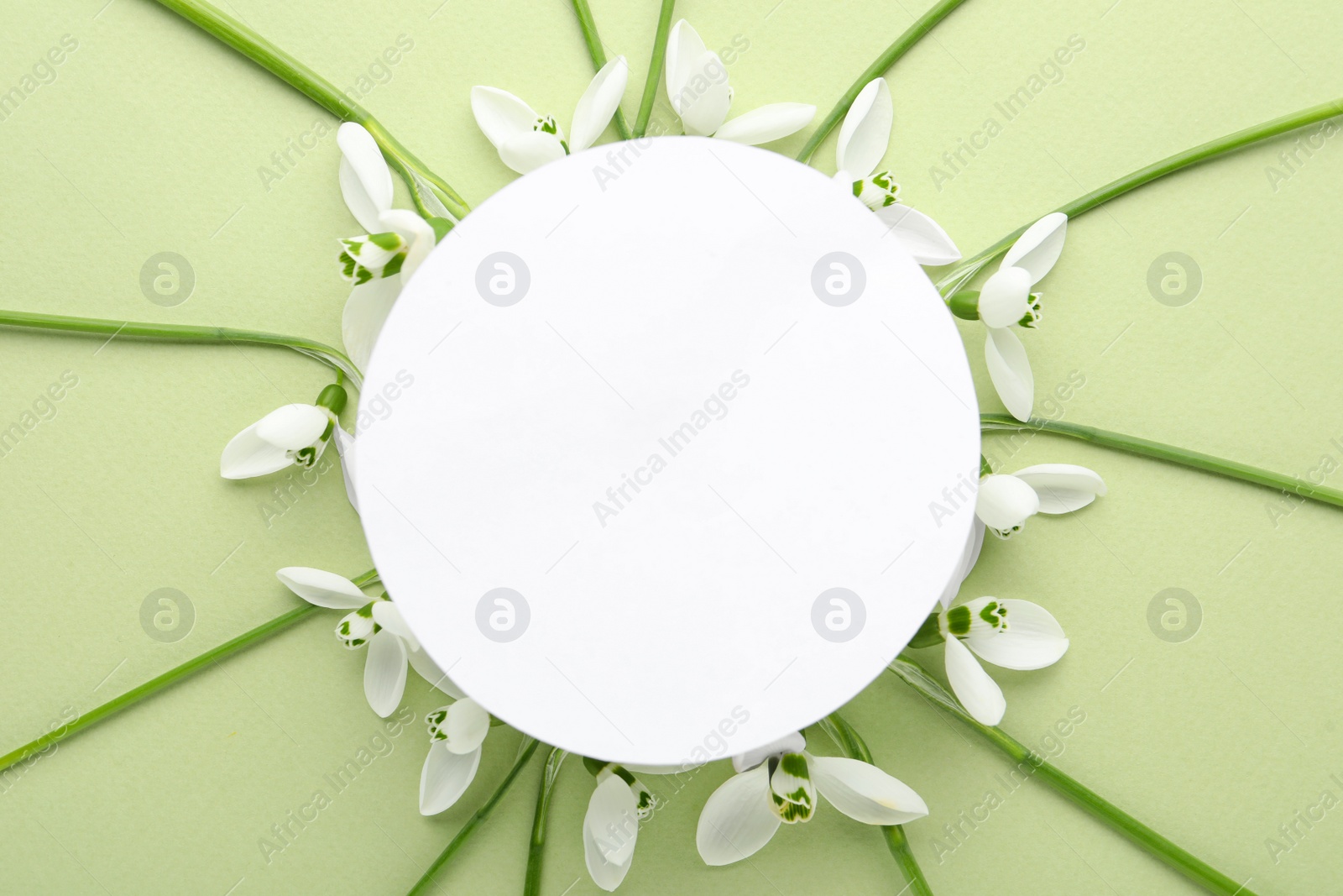 Photo of Frame of beautiful snowdrops around paper card on light background, flat lay. Space for text
