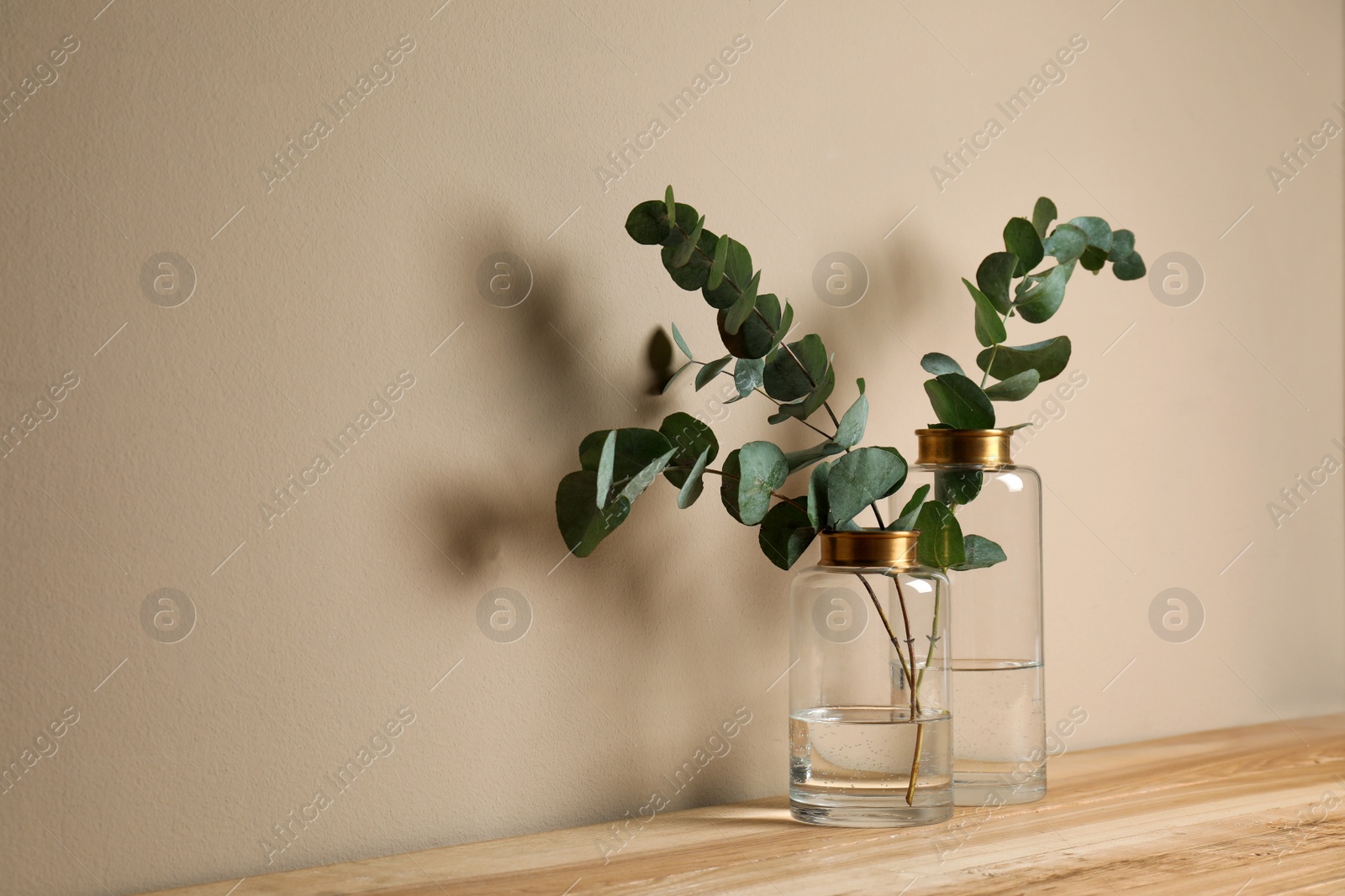 Photo of Beautiful eucalyptus branches in glass vases on wooden table against beige background. Space for text