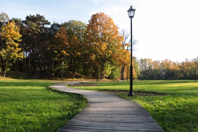 Photo of Picturesque view of park with beautiful trees and pathway on sunny day. Autumn season