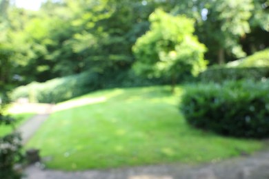 Blurred view of beautiful green trees and shrubs in garden on sunny day