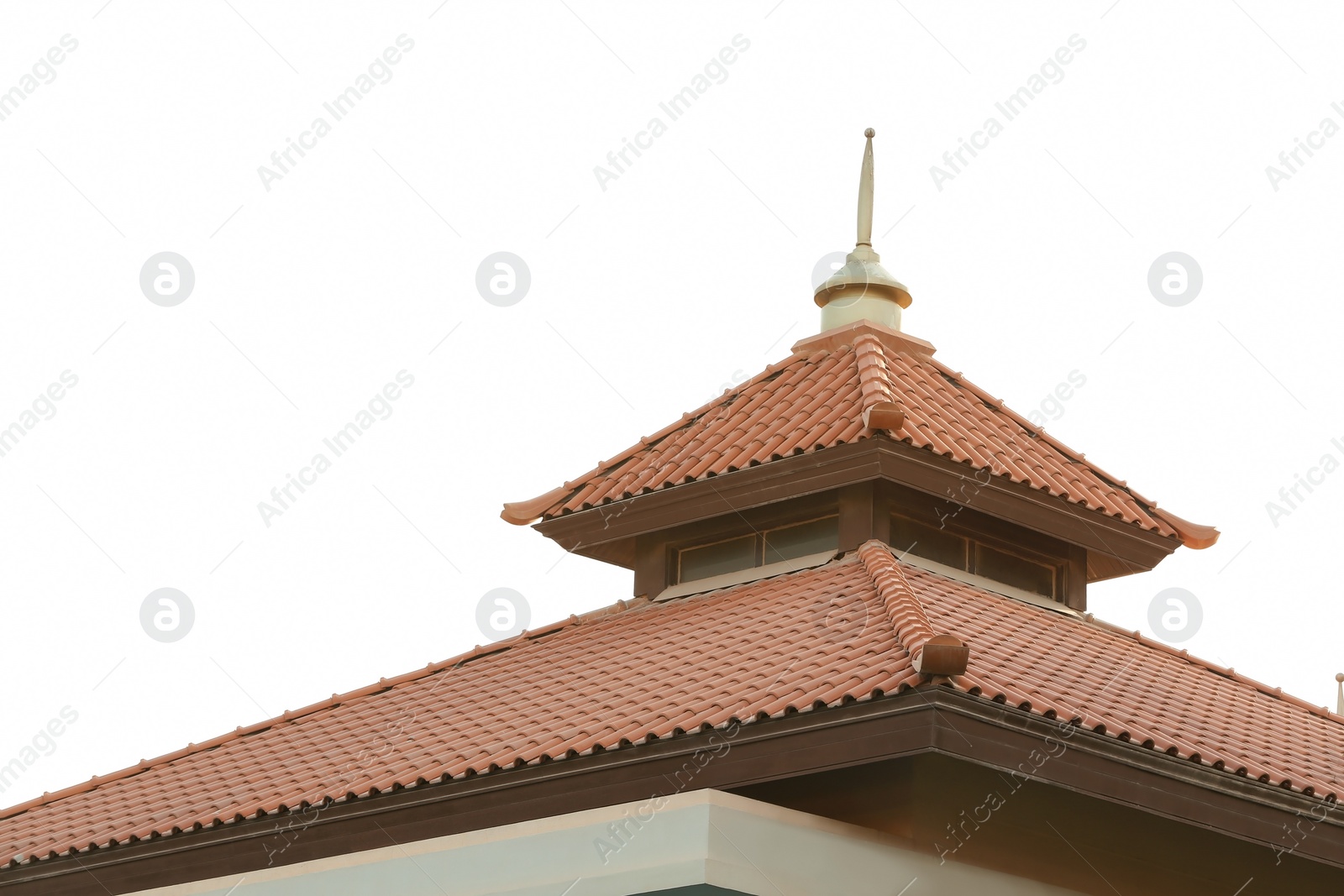 Photo of Roof of beautiful building on sky background