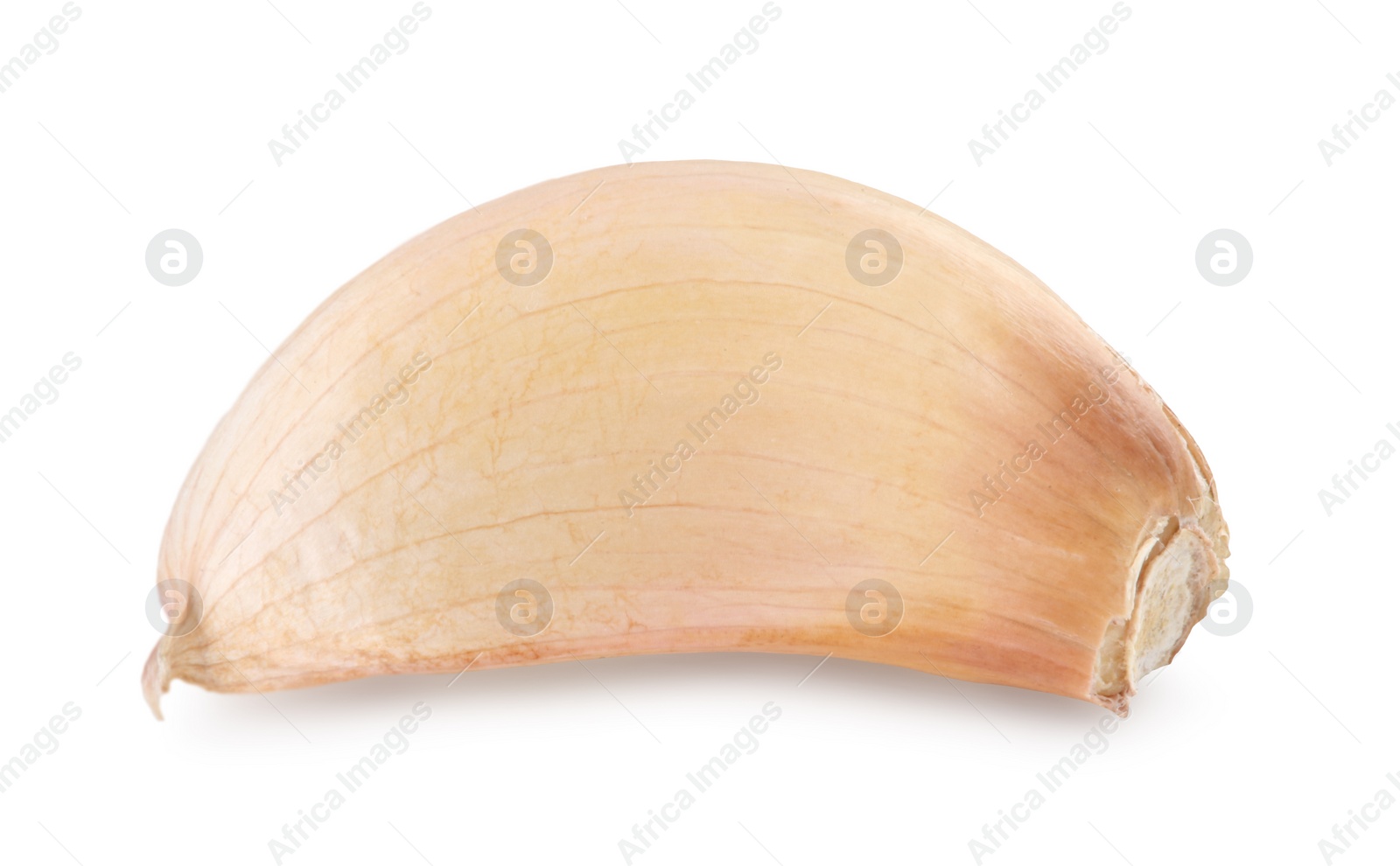 Photo of One clove of garlic isolated on white