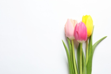 Photo of Beautiful spring tulips on white background, top view. International Women's Day