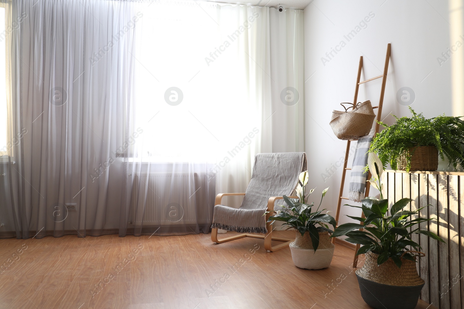 Photo of Beautiful plants in wicker pots near white wall indoors. Interior design idea